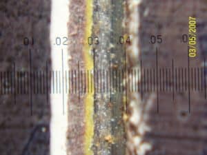 Photo 14 – View of an incision through the Tooke Gage microscope.