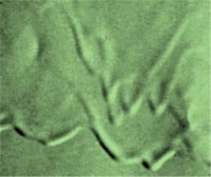 sagging coating