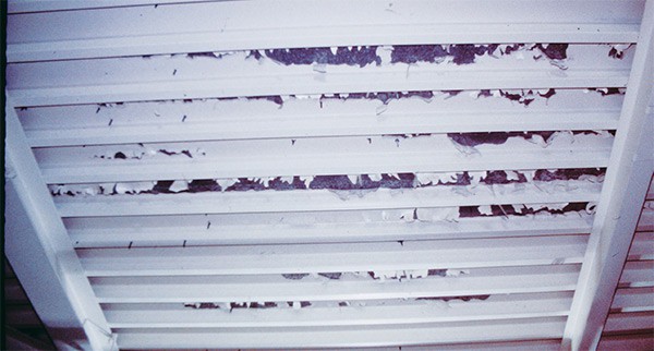 coating delamination