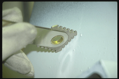 wet film thickness gage