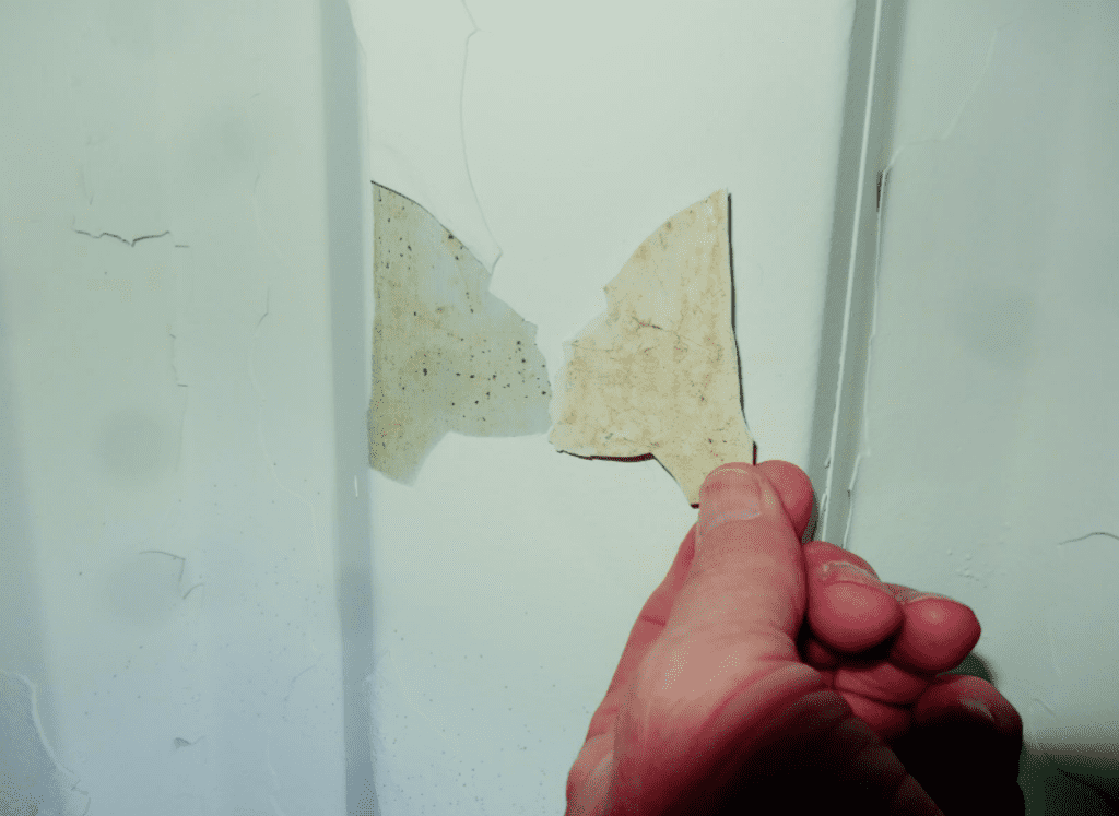dry fall coatings